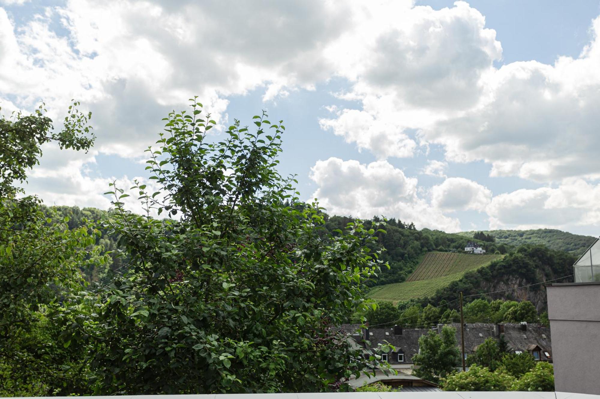 Luxusferienwohnung Moselruhe Bullay Mit Grosser Terrasse Und Schoenem Ausblick Eksteriør bilde